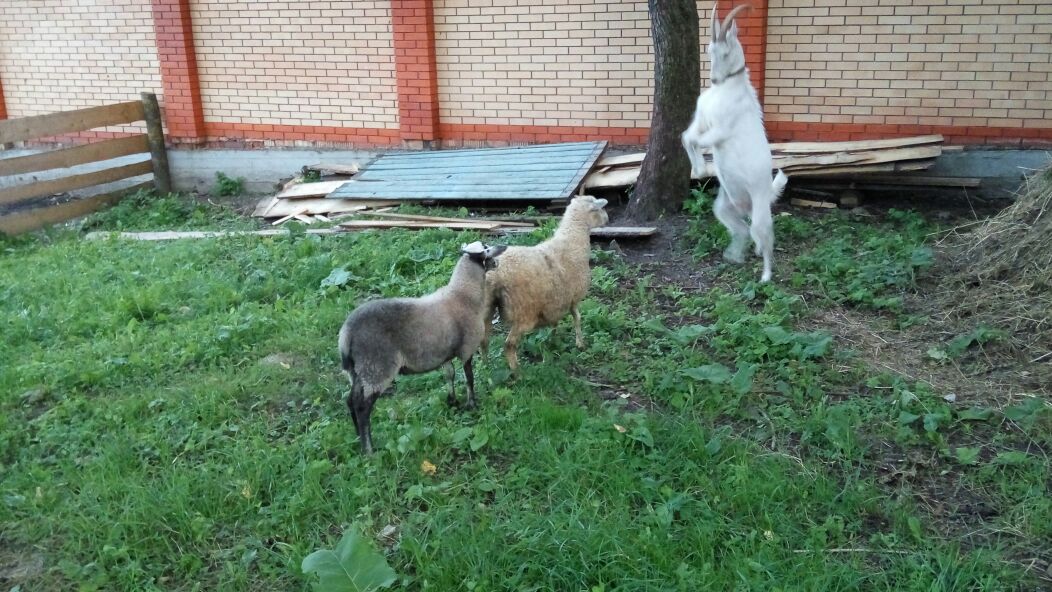 2016-07-28-photo-00000500